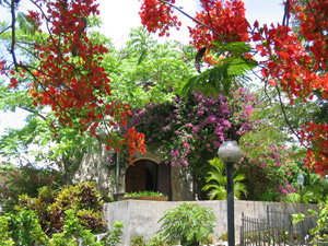 Belvedere-side_yard_1.jpg