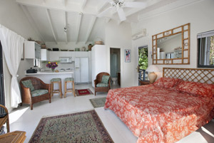 CaribiaCottageInterior2.jpg