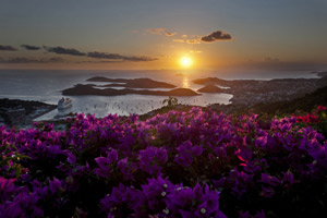 BellaVidaHarborDusk1.jpg