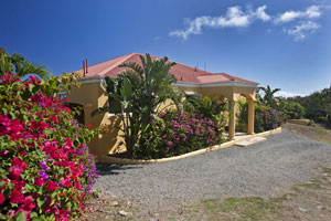 MoonsweptHouse2.jpg