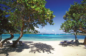 RitzSeaGrapes7988.jpg