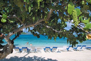 ritzbeach2.jpg