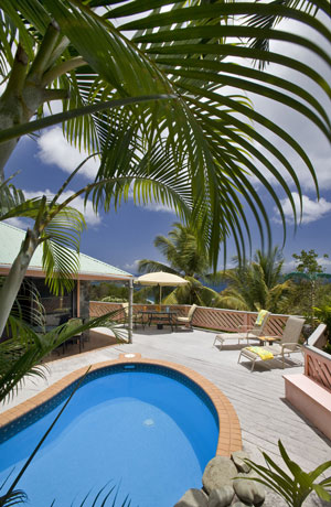 StoneCottagePoolPalms.jpg