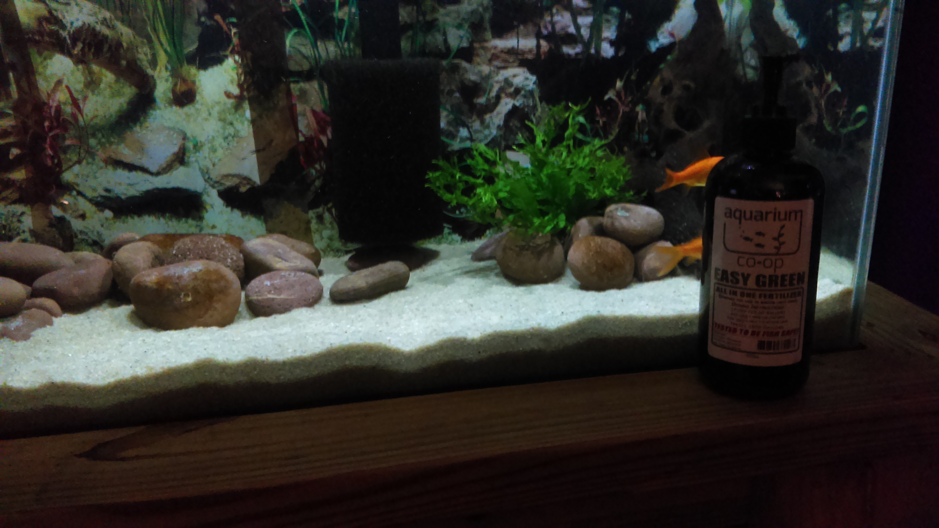 Easy Green All in One Fertilizer Aquarium CoOp