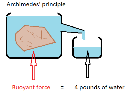 State Archimedes principle.