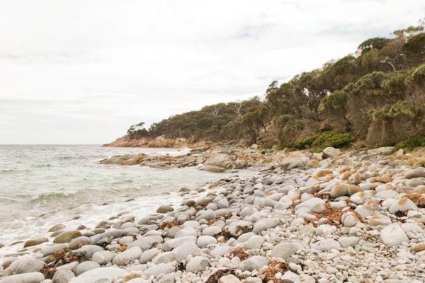 Freycinet NP