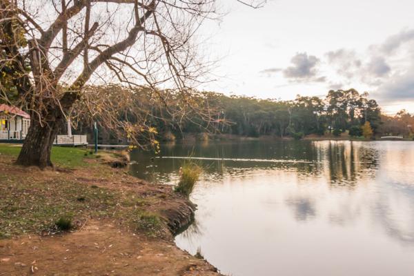 Daylesford Lake