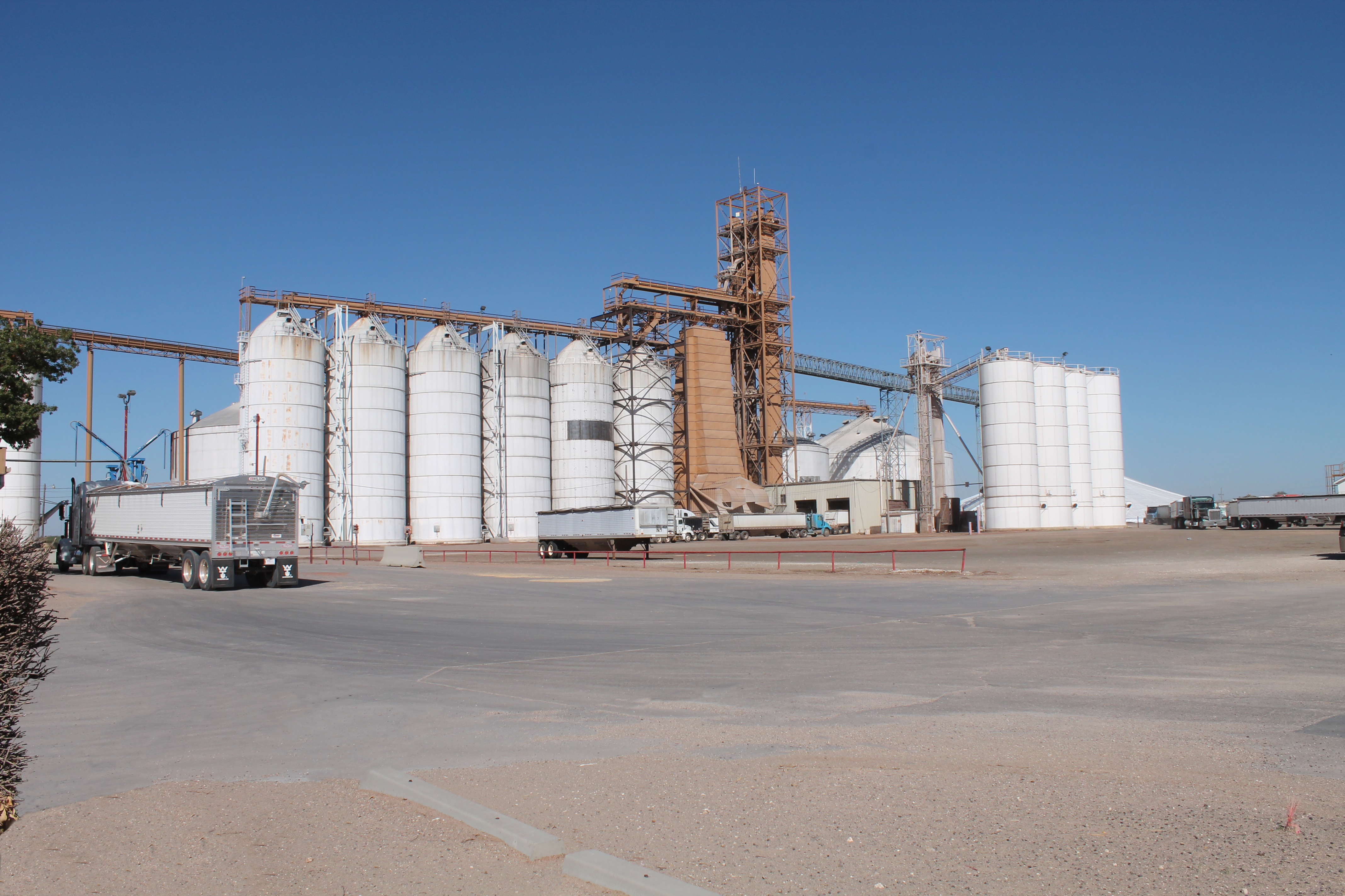 Ag Producers Coop Location Olton Grain