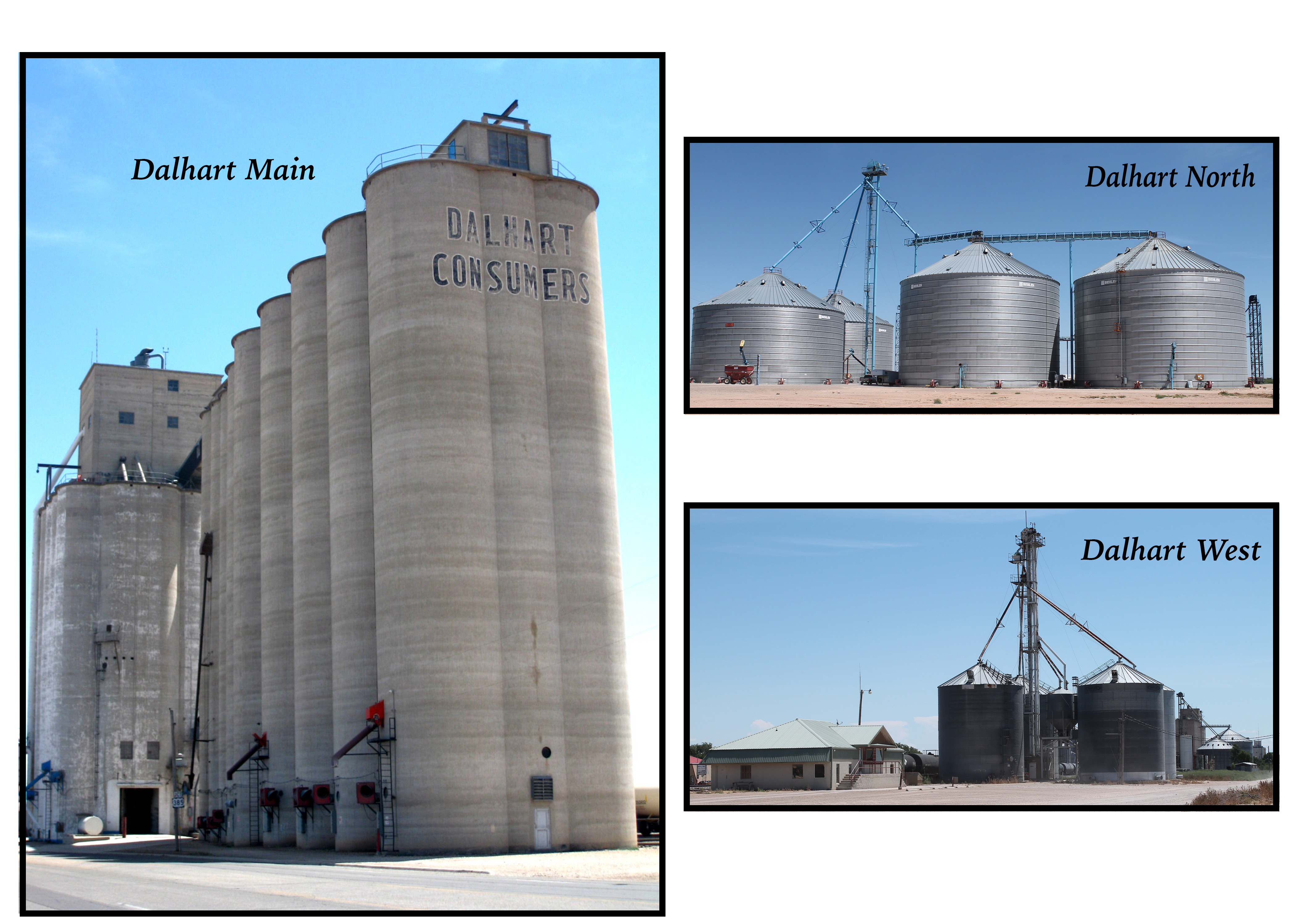 Ag Producers Coop Location Dalhart