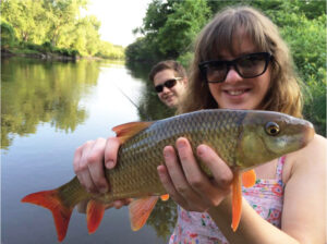 Daiwa D-Shock rod-and-reel combos