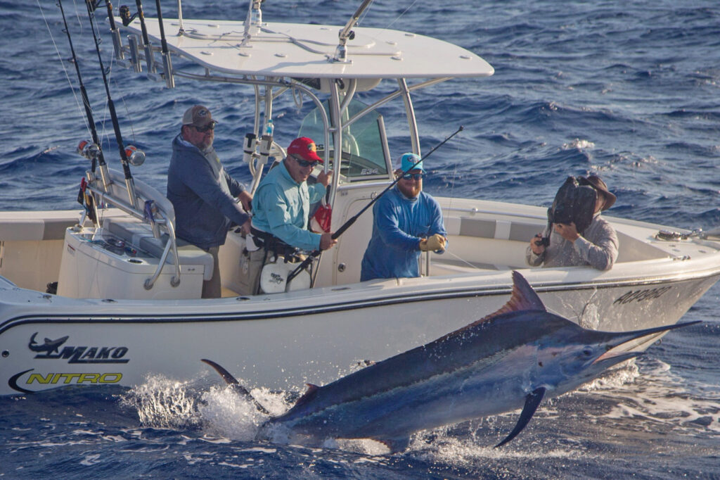 Johnny Morris catching black marlin