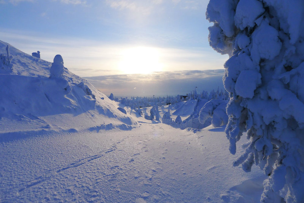 8455770428_7008f8c9d7_h