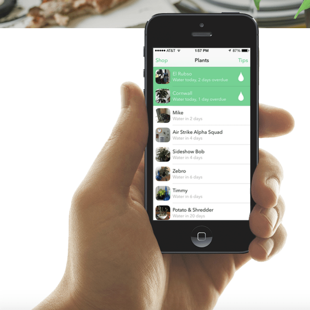 Screen Shot 2015-12-17 at 2.31.47 PM