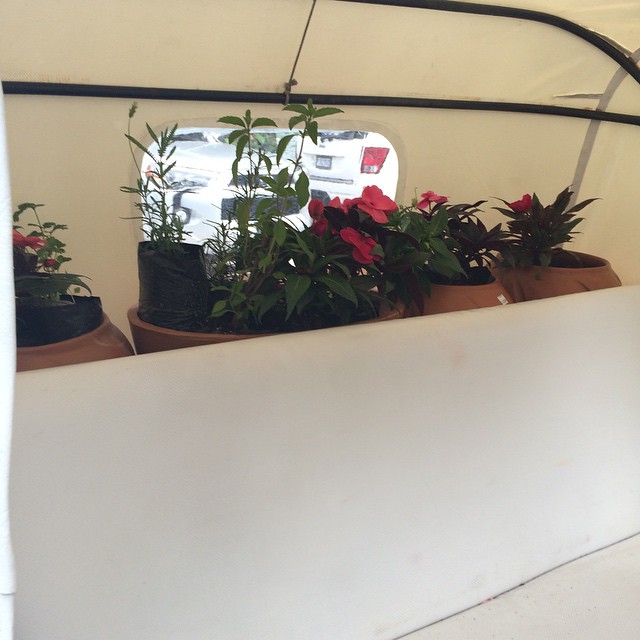 10896957_729175135356_4171202730990021282_n