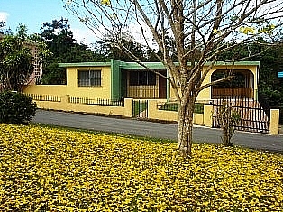 BO TEJAS/ LA ROCA DE ORO