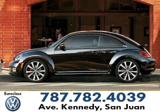Beetle 2013