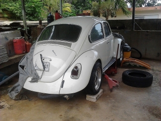 Beetle 1973
