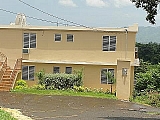 CERCA RUM Y ANTILLAS | Bienes Ra&iacute;ces > Residencial > Casas > Multi Familiares | Puerto Rico > Mayaguez