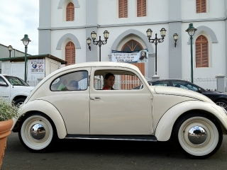 1951 Volky
