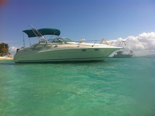 Cruiser 31