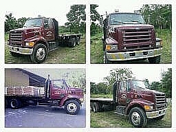 Se vende camion