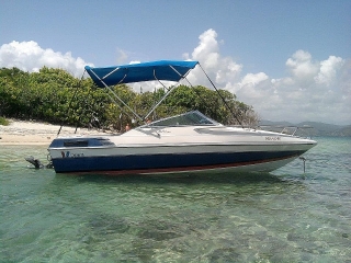 Wellcraft 19' 1987 4.0L