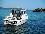 Passenger / Dive Boat