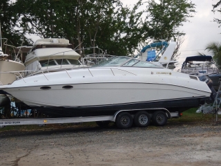 VENTA