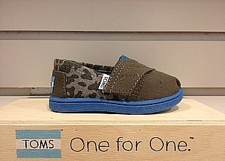 TOMS