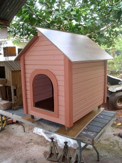 casa diseñadas para perros