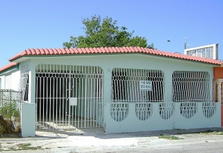 Lirios del Sur