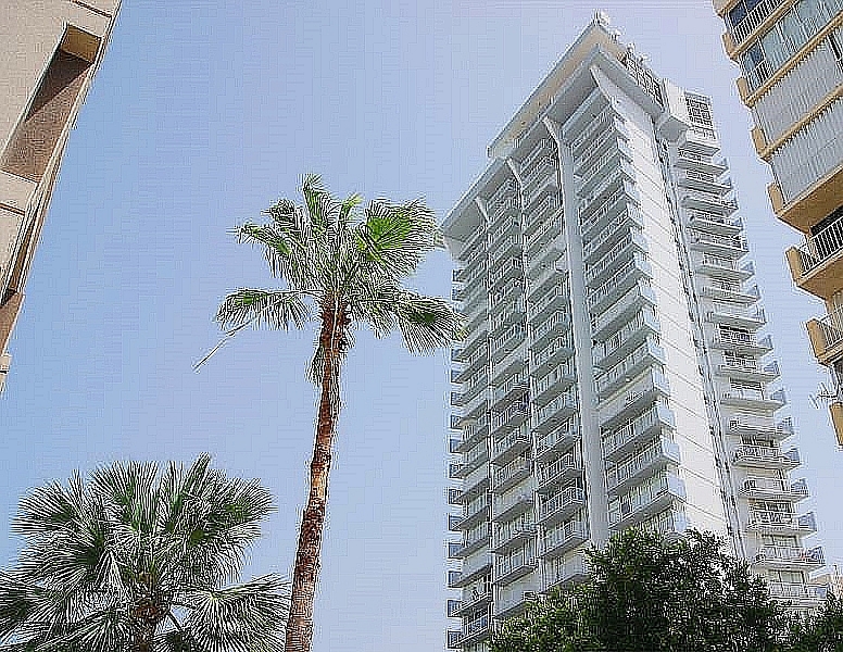 Clasificado expirado