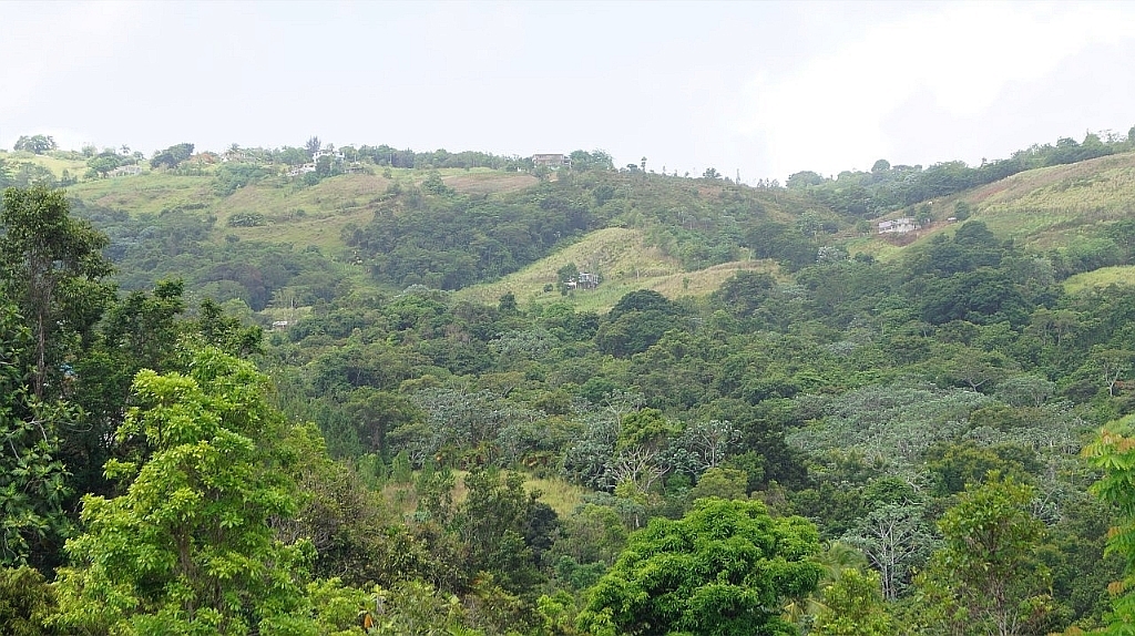 Fincas Terrenos Solares En Venta Rio Grande Puerto Rico Bienes Raíces
