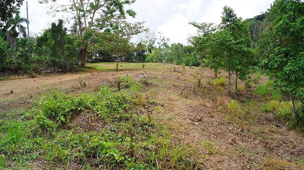 Fincas Terrenos Solares En Venta Rio Grande Puerto Rico Bienes Raíces