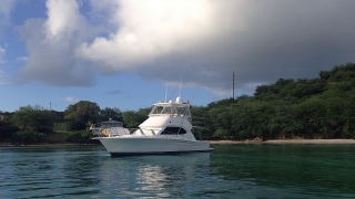 RIVIERA 40 PLATINUM 2001