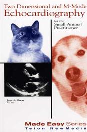 Two-Dimensional and M-Mode Echocardiography for the Small Animal Practitioner