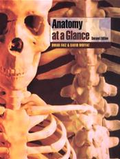 Anatomy at a Glance