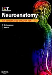 Neuroanatomy: An Illustrated Colour Text.