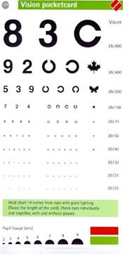 Vision Pocketcard