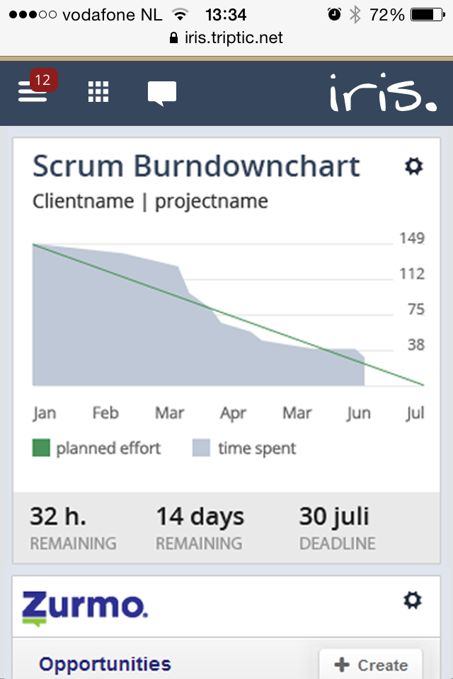 Shows basically just the scum burdndown chart on the related page on mobile
