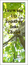 Growing Up Together Into Christ