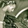 Small_denzelwashington