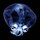 Small_fabrite