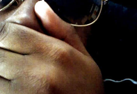 Large_flyinglotus