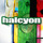 Small_halcyon