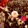 Small_luns