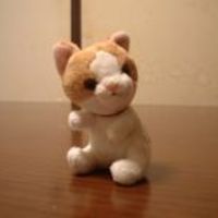 Medium_nakashin4