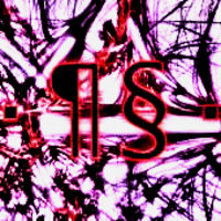 Medium_phylumsinter