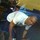 Small_pushingit