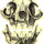 Small_rambdj